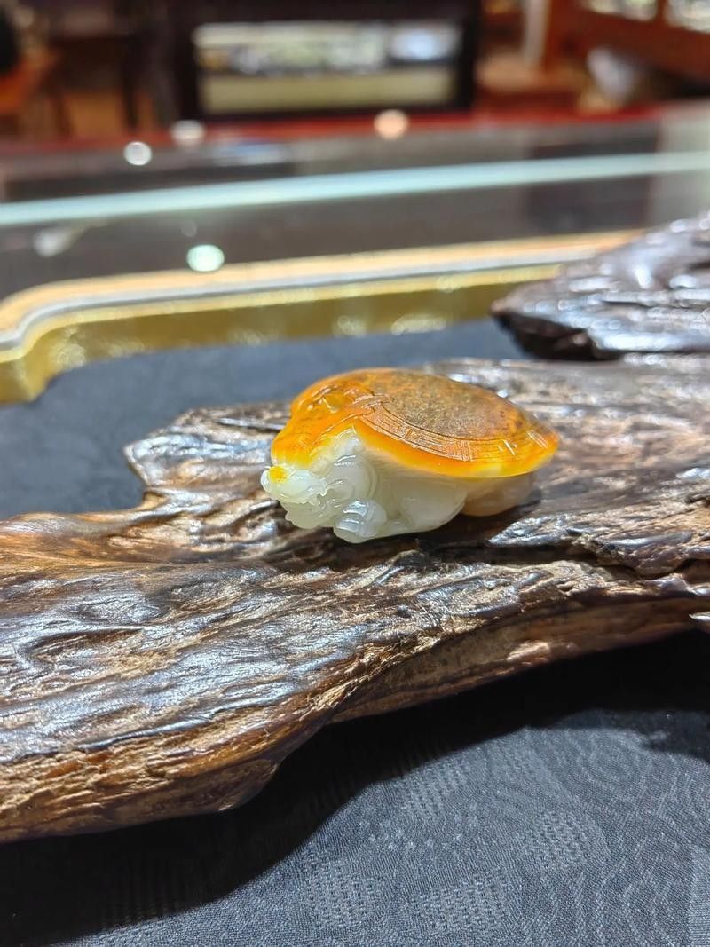 如何保養(yǎng)和田玉籽料龍龜？（和田玉籽料龍龜?shù)谋ｐB(yǎng)與禁忌baiqi.makepolo）