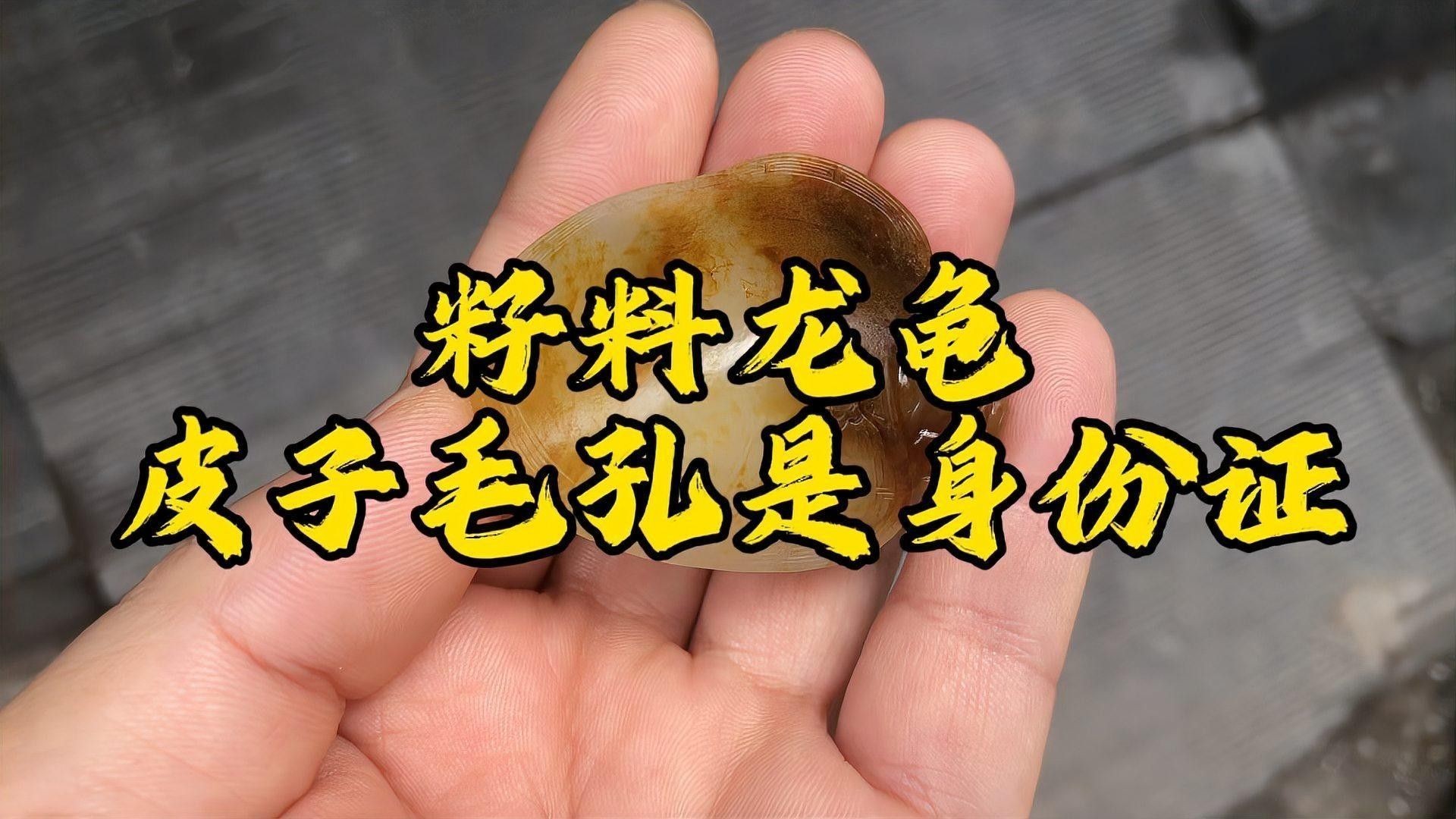 如何保養(yǎng)和田玉籽料龍龜？（和田玉籽料龍龜?shù)谋ｐB(yǎng)與禁忌baiqi.makepolo）
