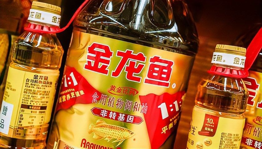金龍魚的投資計劃何時完成（金龍魚投資計劃調(diào)整至2027年12月31日）