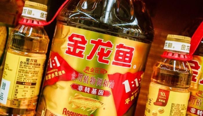 金龍魚的投資計劃何時完成（金龍魚投資計劃調(diào)整至2027年12月31日）