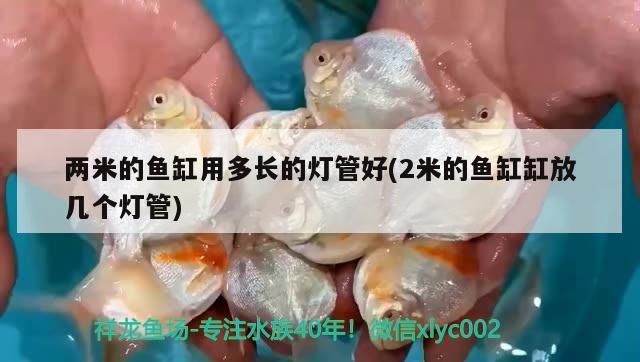 兩米的魚缸用多長的燈管好(2米的魚缸缸放幾個燈管)