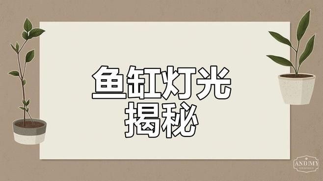 如何根據(jù)魚種選擇燈光？（如何根據(jù)魚種的特性來選擇適合的燈光）