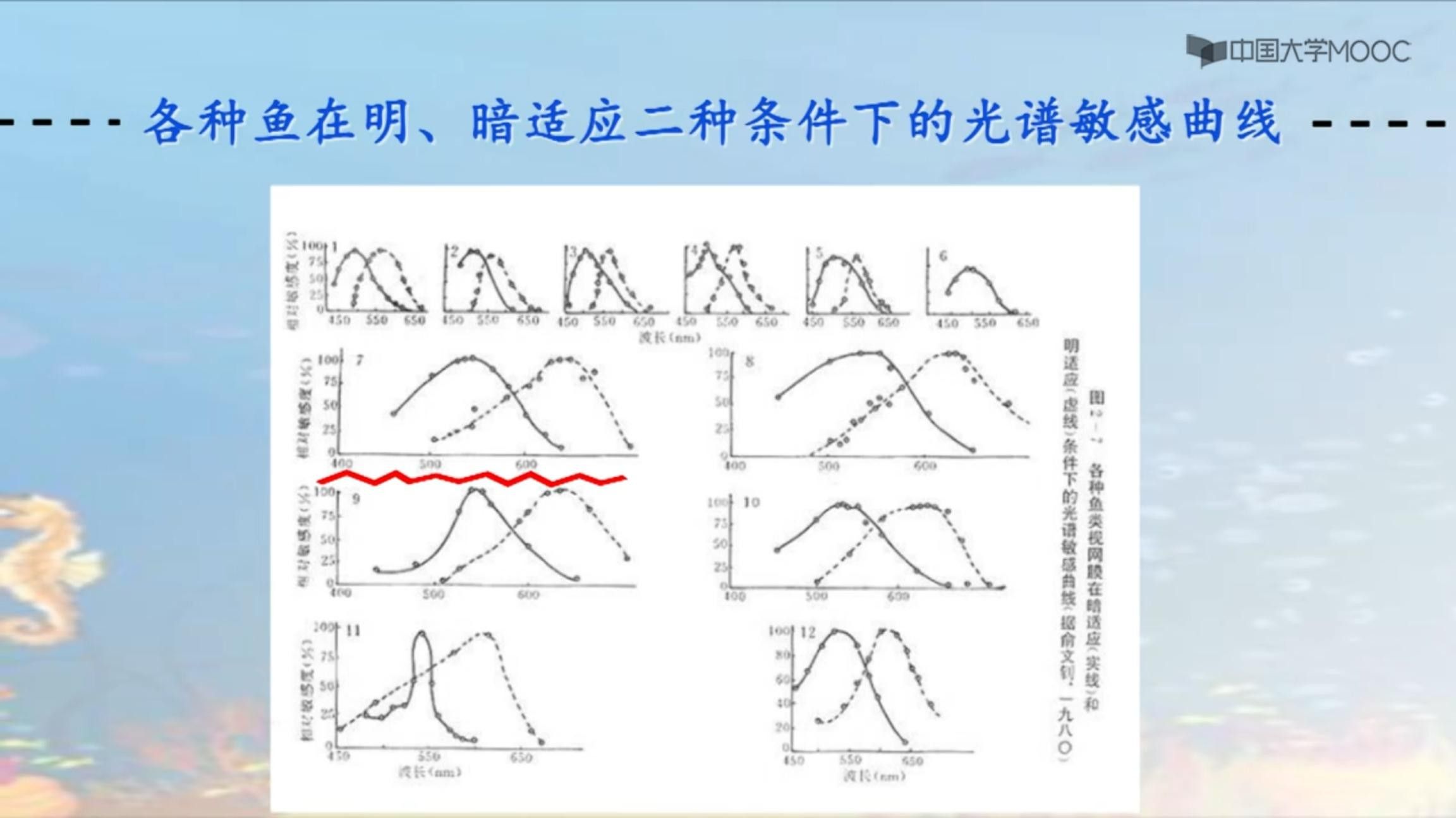 如何根據(jù)魚種選擇燈光？（如何根據(jù)魚種的特性來選擇適合的燈光）