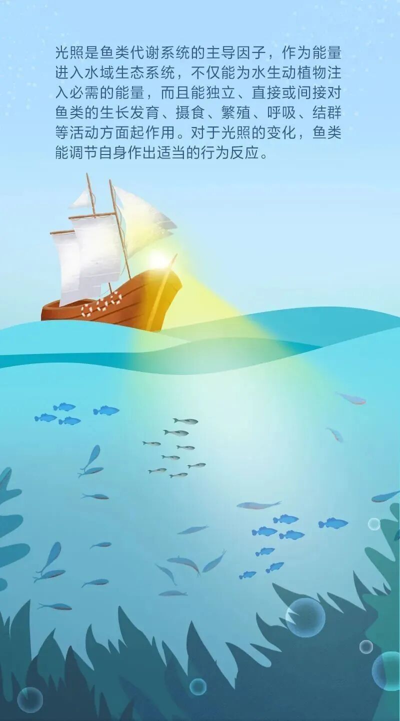 如何根據(jù)魚種選擇燈光？（如何根據(jù)魚種的特性來選擇適合的燈光）