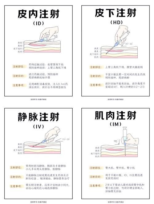 如何預防超血紅龍魚患病？（養魚小技巧，龍魚的正確飼養方法）