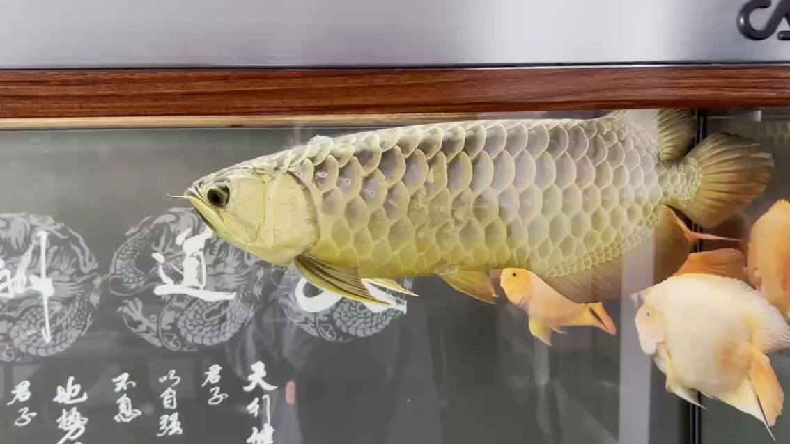 求助（ai為教育領域帶來了前所未有的機遇與挑戰）