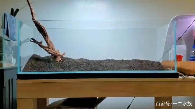 紅龍魚燈（紅龍魚燈光使用方法）（關于紅龍魚燈光的使用方法）