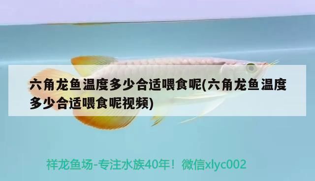 魚鱗脫落怎么辦，如何預防魚鱗脫落