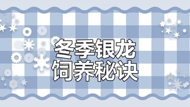 如何引導龍魚適應凍食（如何引導龍魚適應凍食的步驟）