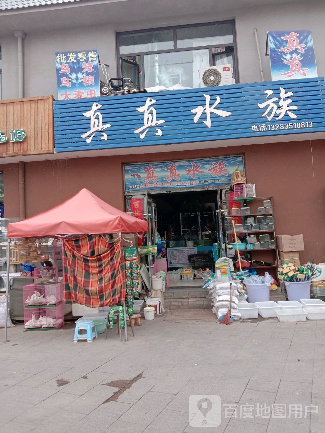 杏花嶺哪個水族館龍魚好？祥龍魚場龍魚（“祥龍魚場”的水族館環境優雅，為游客和水族愛好者的首選之地）