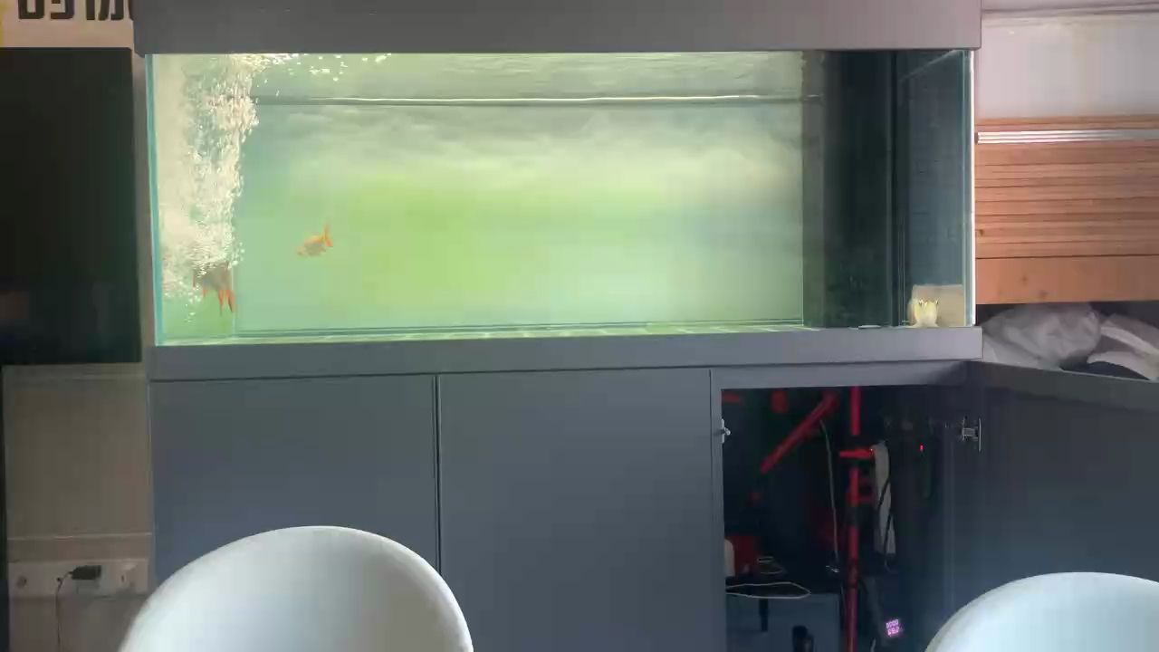 魚缸用增氧泵價格是多少:魚缸增氧機-xtrac增氧機-xtrac增氧機 龍魚趴缸(龍魚為什么會趴缸) 龍魚論壇 龍魚趴缸(龍魚為什么會趴缸) 龍魚趴缸(龍魚為什么會趴缸) 龍魚論壇