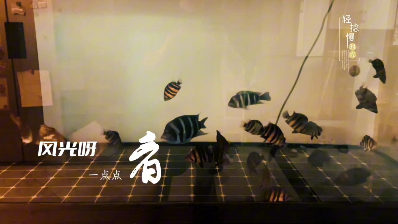 狀態(tài)不錯(cuò)！（《個(gè)人成長(zhǎng)與成功》）