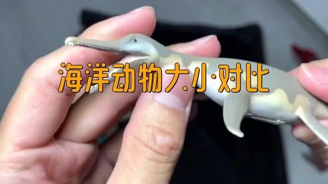 平克山大魚龍與藍鯨的體型對比（克山大魚龍與藍鯨的體型對比，平克山大魚龍與藍鯨的體型對比）