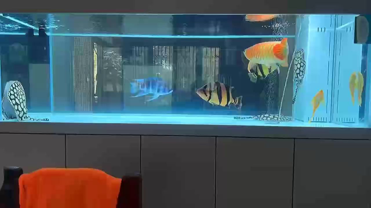 6666666（6666666，本研究旨在探討數字技術對現代教育模式的影響）
