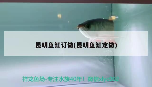 <strong><mark>昆明</mark></strong>魚缸訂做(<strong><mark>昆明</mark></strong>魚缸定做)（<strong><mark>昆明</mark></strong>魚缸定做、<strong><mark>昆明</mark></strong>魚缸定做對應的信息）