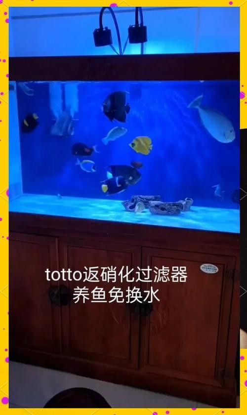 如何保持魚缸水溫穩定（如何穩定魚缸水溫、水溫的辦法）