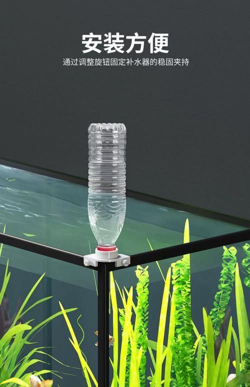 如何保持魚缸水溫穩定（如何穩定魚缸水溫、水溫的辦法）