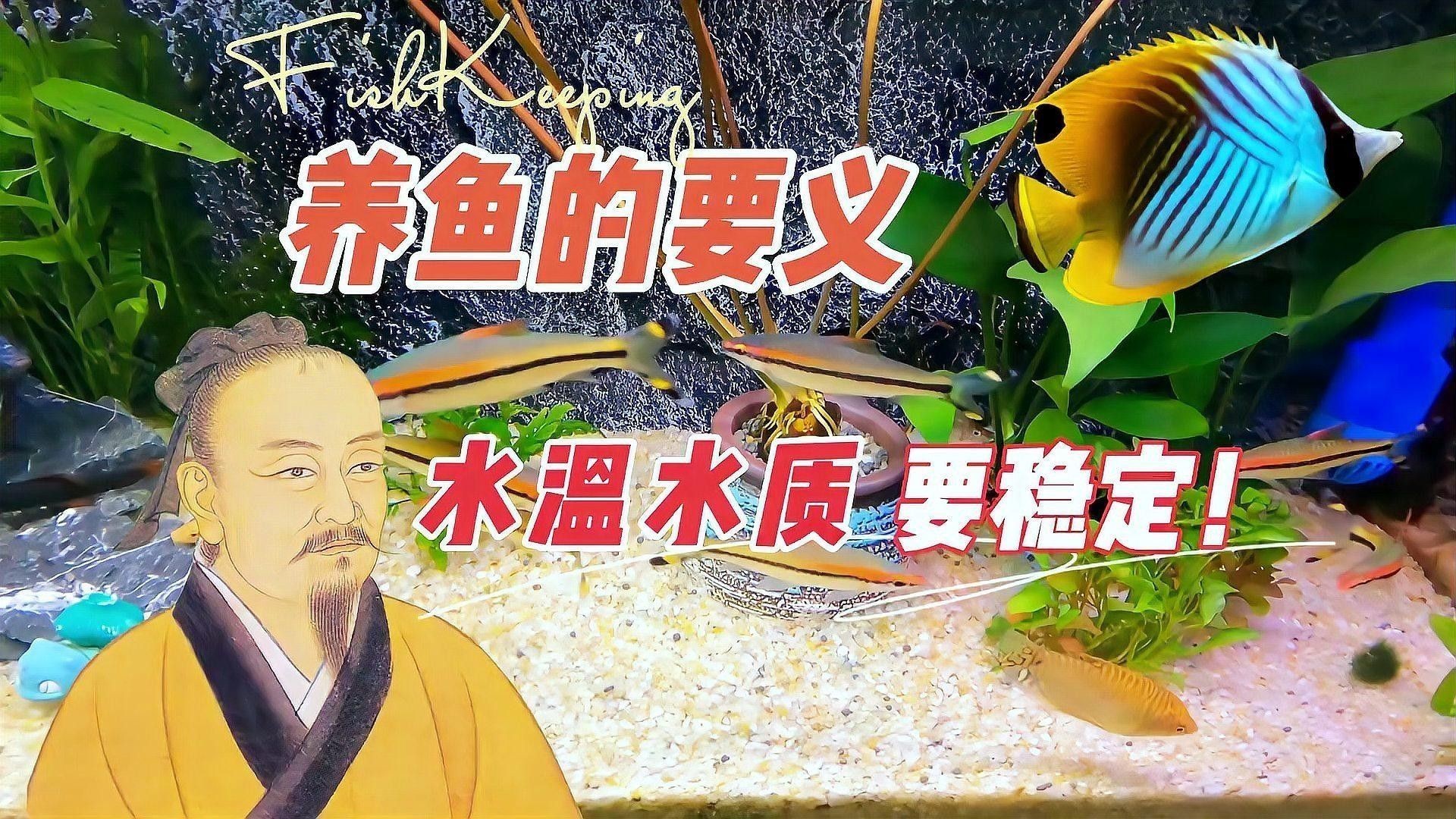 如何保持魚缸水溫穩定（如何穩定魚缸水溫、水溫的辦法）