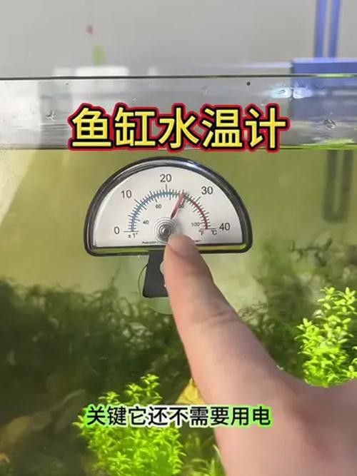 如何保持魚缸水溫穩定（如何穩定魚缸水溫、水溫的辦法）