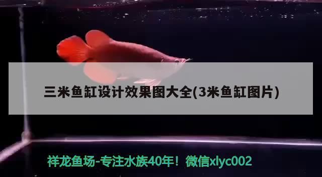 三米魚(yú)缸設(shè)計(jì)效果圖大全(3米魚(yú)缸圖片)（3米魚(yú)缸設(shè)計(jì)效果圖大全）