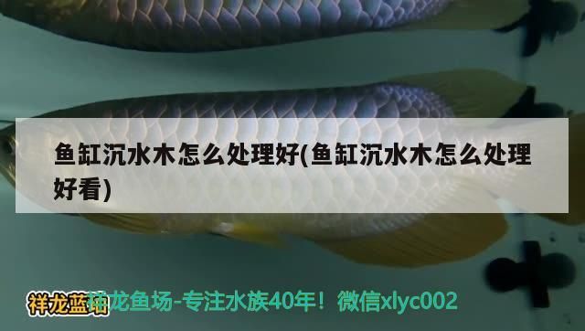 魚缸沉水木怎么處理好(魚缸沉水木怎么處理好看)（魚缸沉水木怎么處理）
