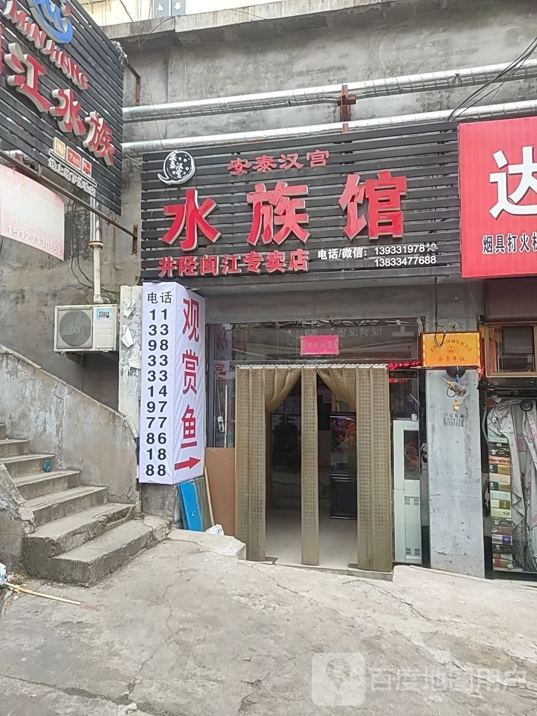 井陘哪個水族館龍魚好？祥龍魚場龍魚（井陘縣水族館中祥龍魚場以其出色的龍魚展示而聞名）