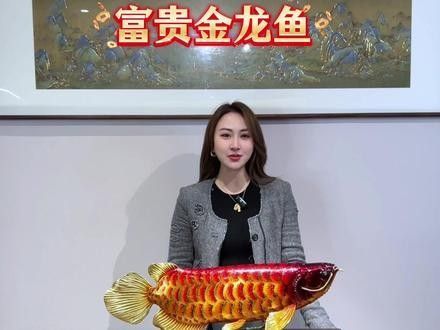 金龍魚雕刻中哪個流派最出名（金龍魚雕刻教程）