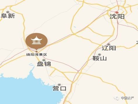 盤錦哪個水族館龍魚好？祥龍魚場龍魚（盤錦市“祥龍魚場”以其優質的龍魚品種和專業的養殖技術）