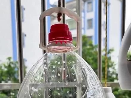 龍魚之巔diy魚缸成本大概是多少（魚之巔diy魚缸成本）