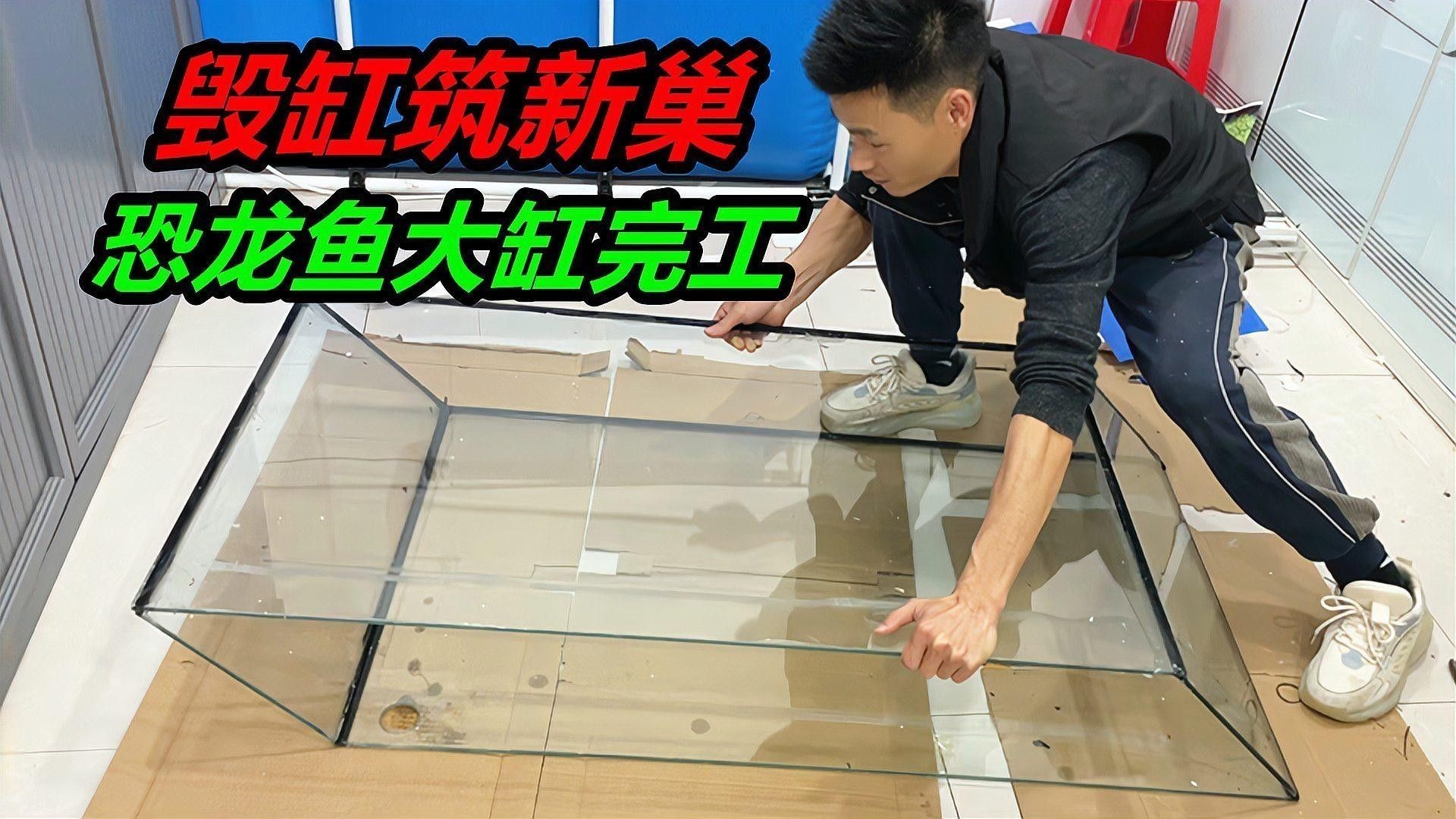 龍魚之巔diy魚缸成本大概是多少（魚之巔diy魚缸成本）