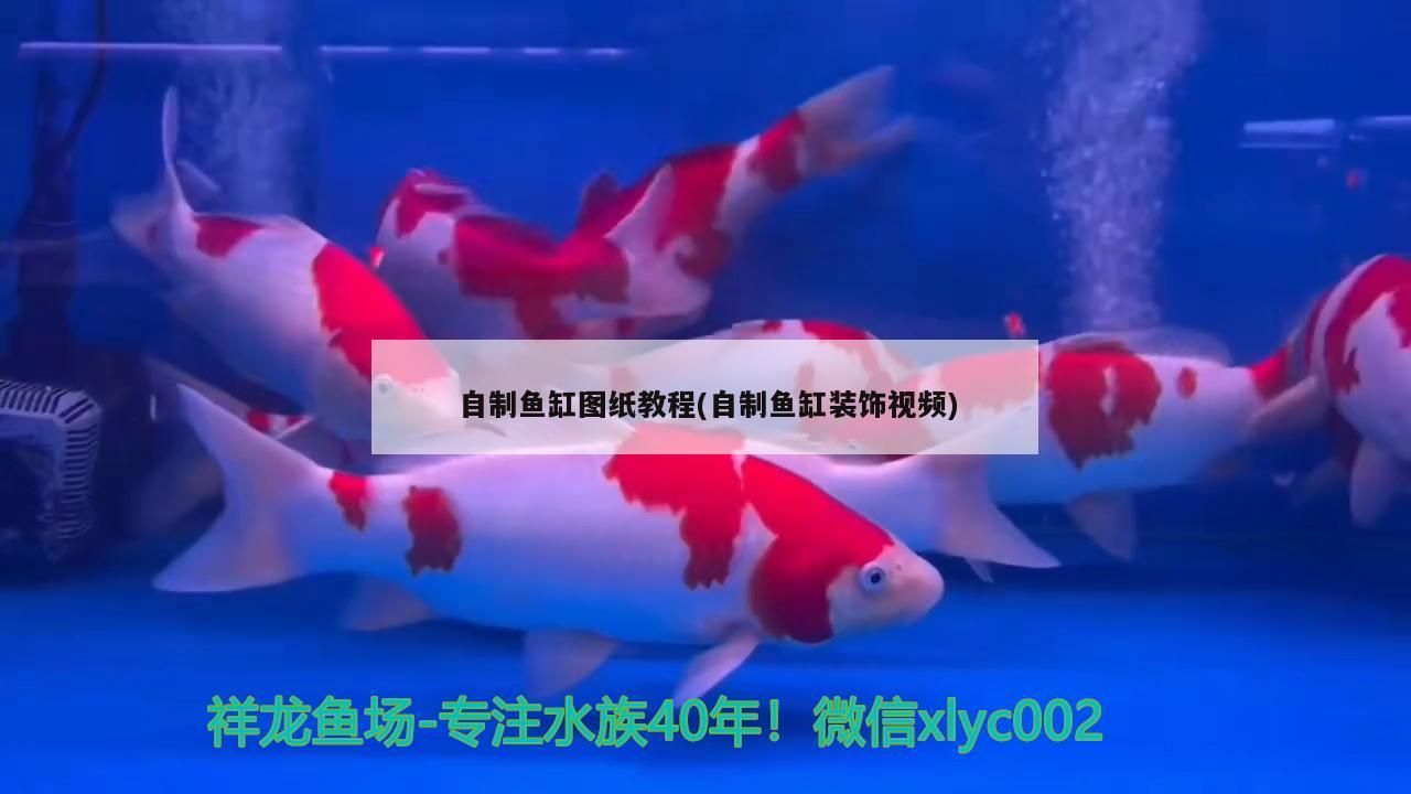 自制魚缸圖紙教程(自制魚缸裝飾視頻)（如何自制魚缸圖紙教程）