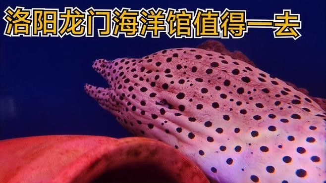 祥龍魚場在清遠(yuǎn)的哪個具體地址？（祥龍魚場在清遠(yuǎn)有分場嗎,）