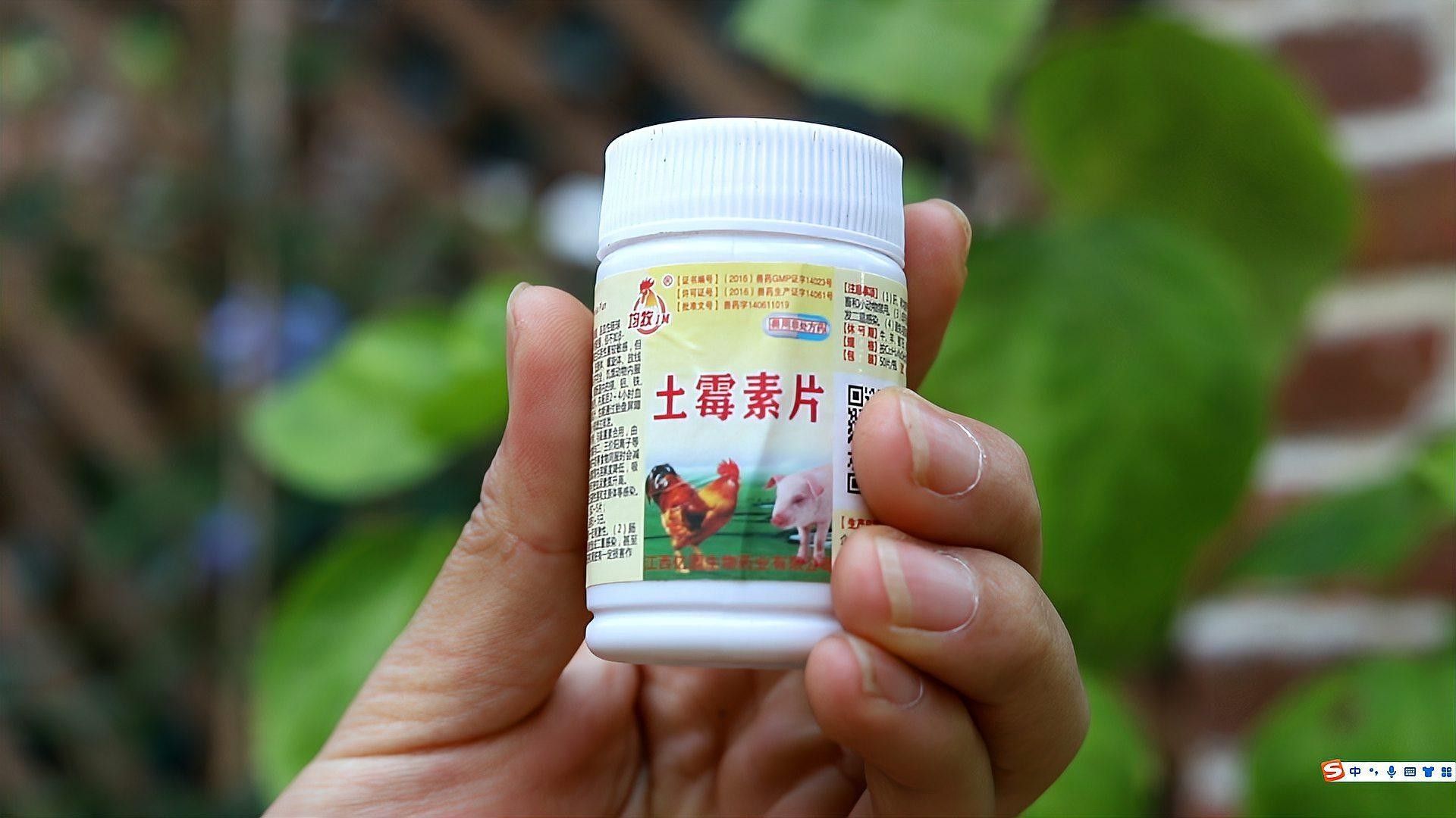 恩諾沙星和土霉素哪個副作用更大？（恩諾沙星和土霉素哪個副作用更大） 恩諾沙星和土霉素哪個副作用更大？（恩諾沙星和土霉素哪個副作用更大） 龍魚百科 第3張