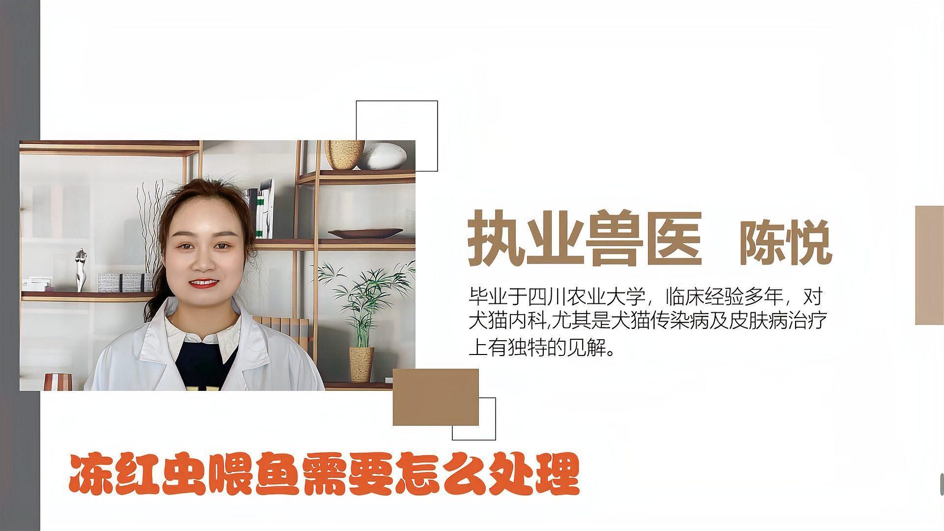 龍行天下（探索中國龍文化的歷史與象征意義）