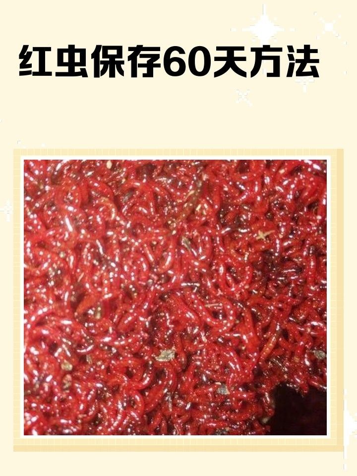 龍行天下（探索中國龍文化的歷史與象征意義）