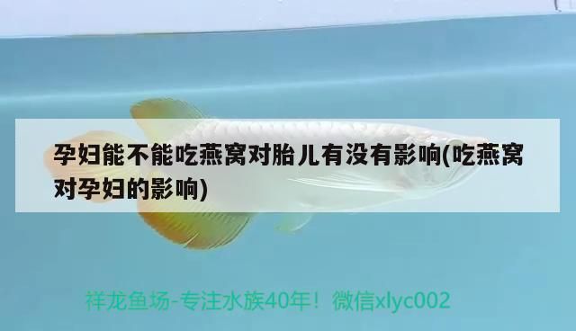 龍魚眼睛朝上掉眼（龍魚眼睛往上翹）（龍魚后天性掉眼怎么辦）