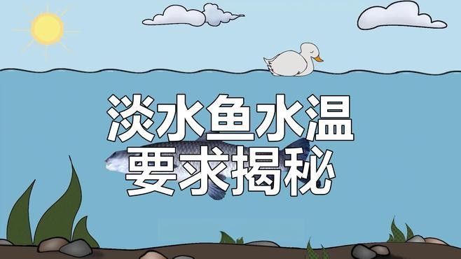 如何判斷水質是否適合養魚？（判斷水質是否適合養魚）