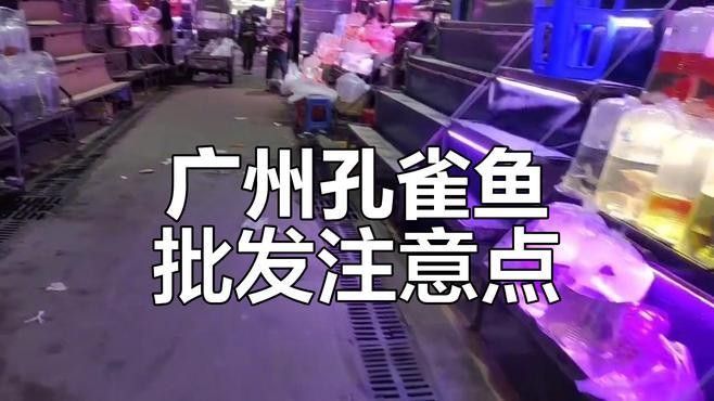 58同城上如何找到龍魚批發商？（58同城上如何找到龍魚批發商） 58同城上如何找到龍魚批發商？（58同城上如何找到龍魚批發商） 龍魚百科 第8張