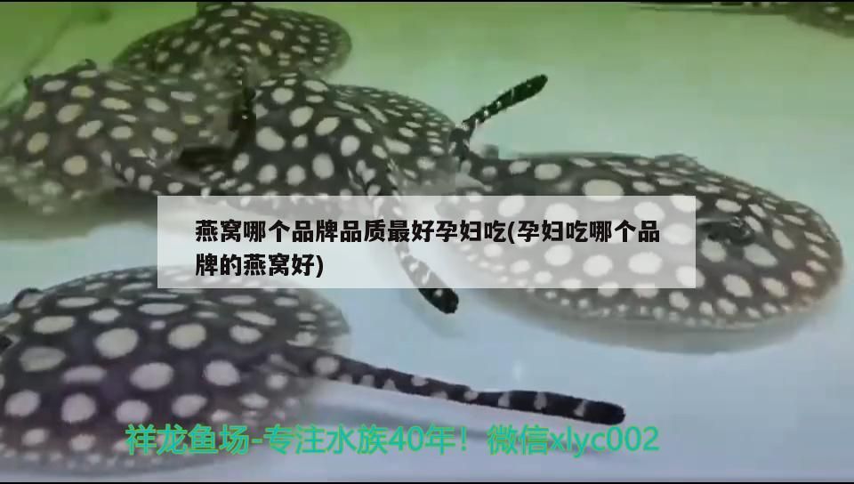 阜陽(yáng)水族批發(fā)市場(chǎng)在哪里（阜陽(yáng)賣(mài)水族箱的地方）（阜陽(yáng)水族批發(fā)市場(chǎng)）