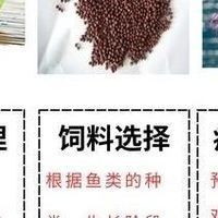 如何劃分魚(yú)缸的安全區(qū)域？（劃分魚(yú)缸安全區(qū)域的步驟）