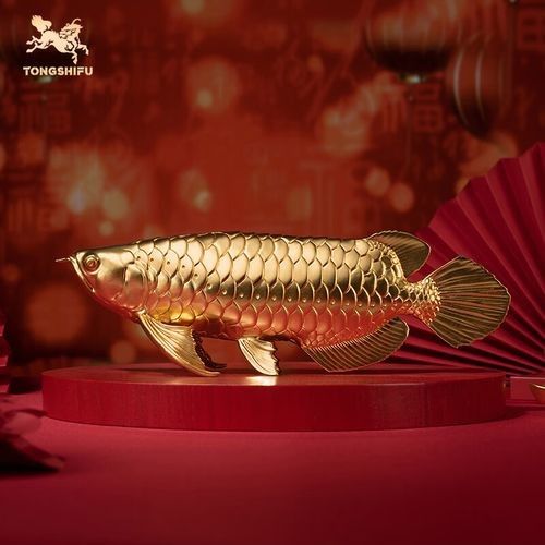 金龍魚擺件有哪些材質選擇？（金龍魚擺件怎么選）