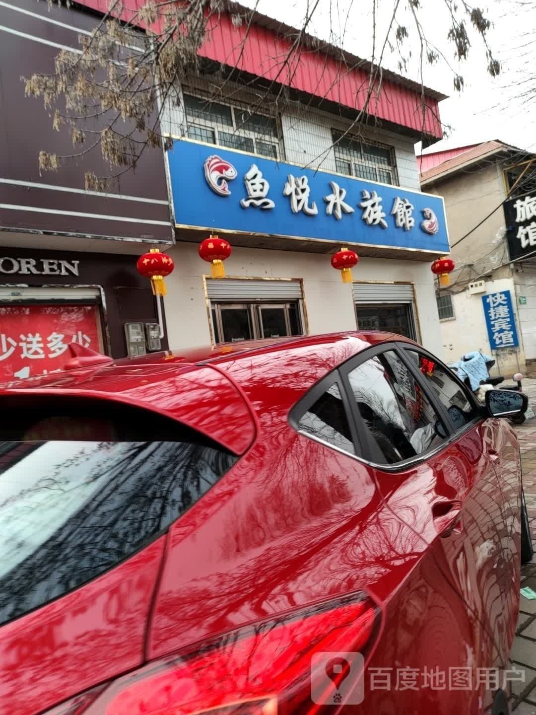 臨城哪個水族館龍魚好？祥龍魚場龍魚（廣州龍魚祥龍魚場臨城縣臨泉路328號水族店購物商鋪）