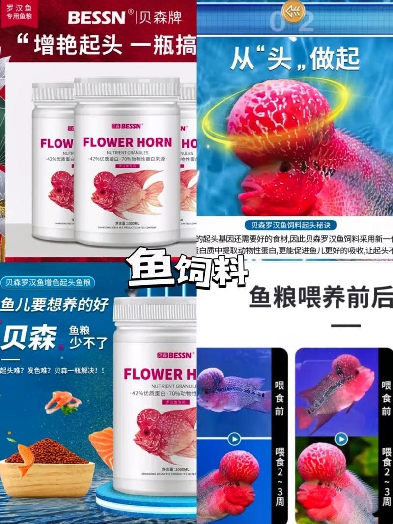 羅漢魚飼料哪個牌子最好？（羅漢魚飼料品牌哪個牌子好）