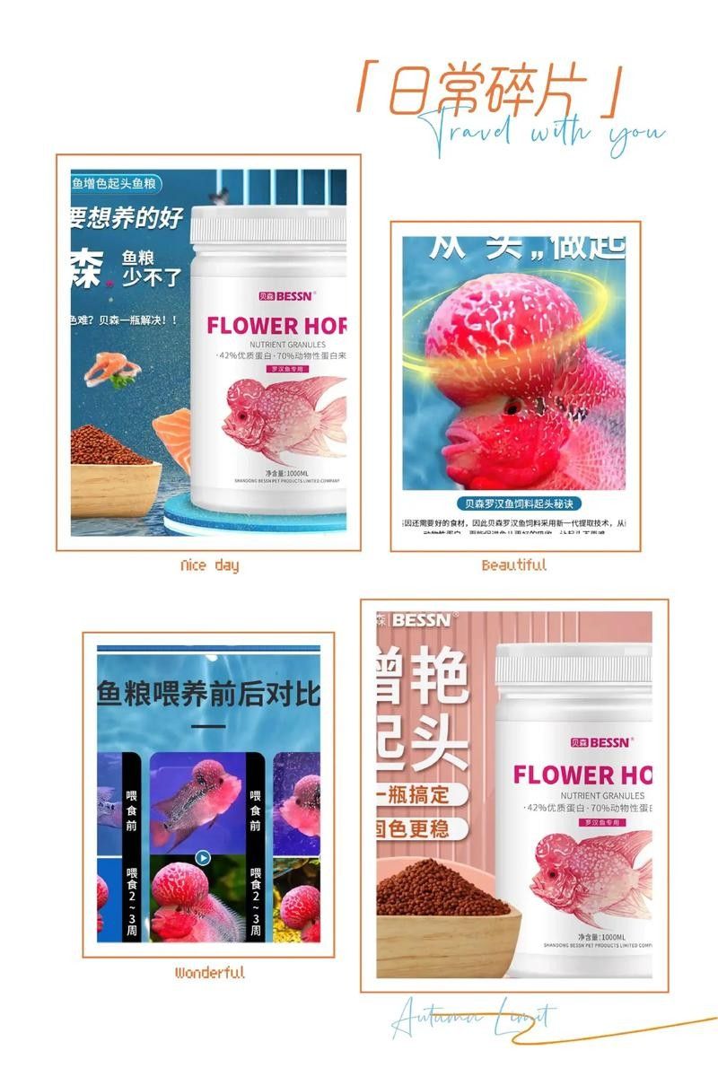 羅漢魚飼料哪個牌子最好？（羅漢魚飼料品牌哪個牌子好）