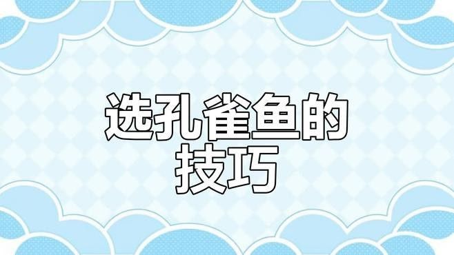 如何挑選健康的孔雀龍魚（10個關鍵點教你挑選出健康、活力充沛的孔雀龍魚）