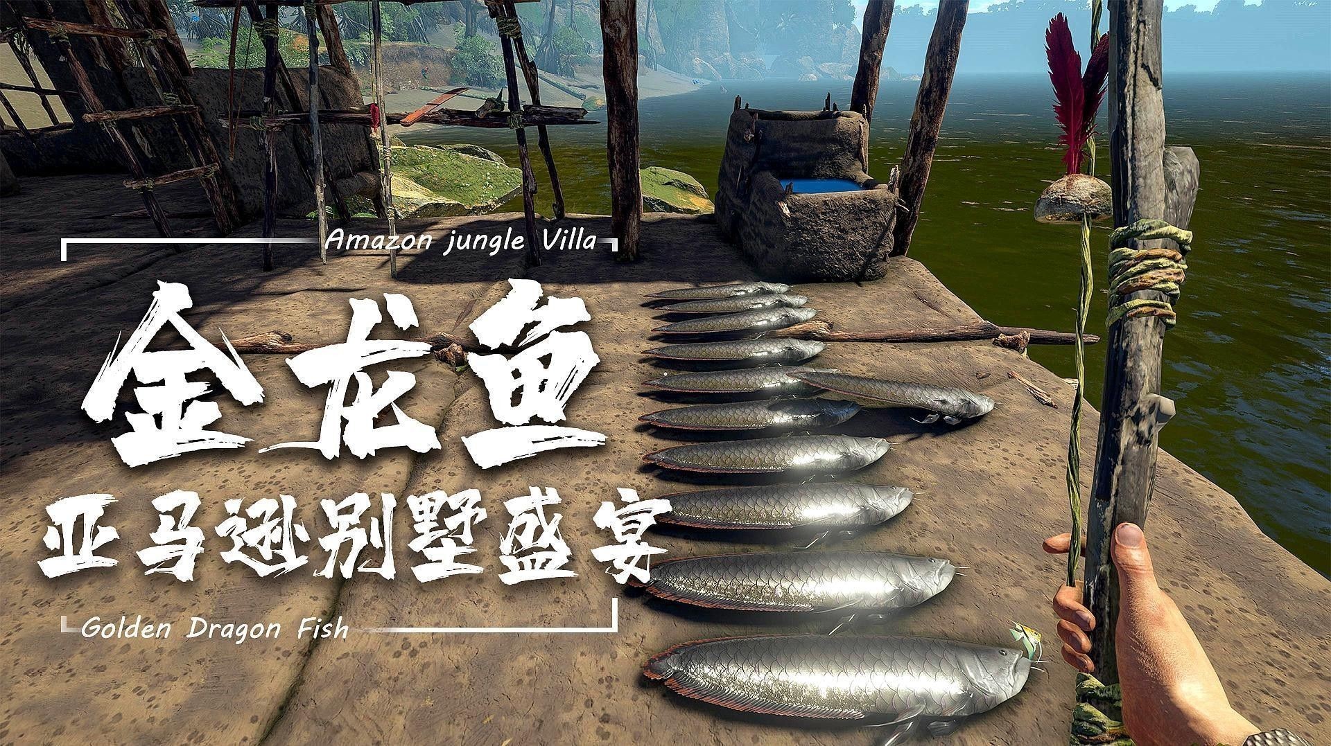 如何搭配使用金龍魚餌料？（如何正確搭配使用金龍魚餌料）