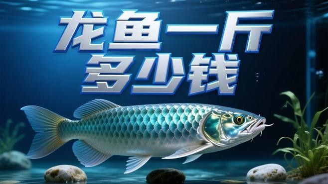 詳細閱讀:龍井哪個水族館龍魚好?祥龍魚場龍魚(廣州祥龍魚場龍魚一斤多少錢) 龍井哪個水族館龍魚好?祥龍魚場龍魚(廣州祥龍魚場龍魚一斤多少錢)