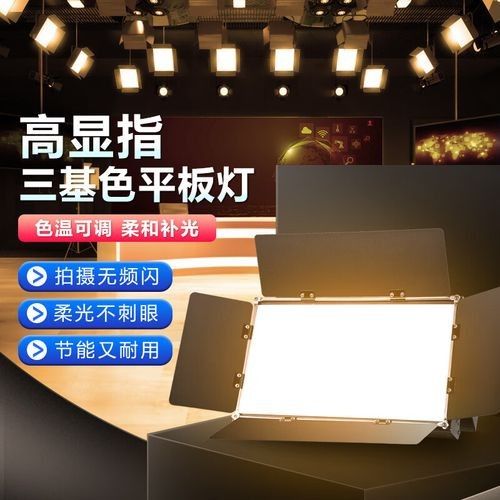 紅龍魚透缸養：如何設置紅龍魚的透缸環境？
