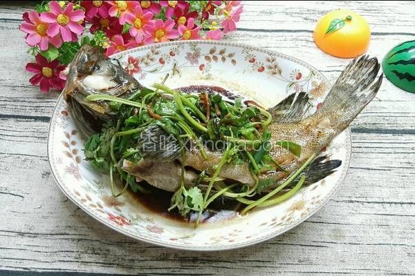 龍躉魚的最佳烹飪時間（烹飪龍躉魚的最佳烹飪時間）