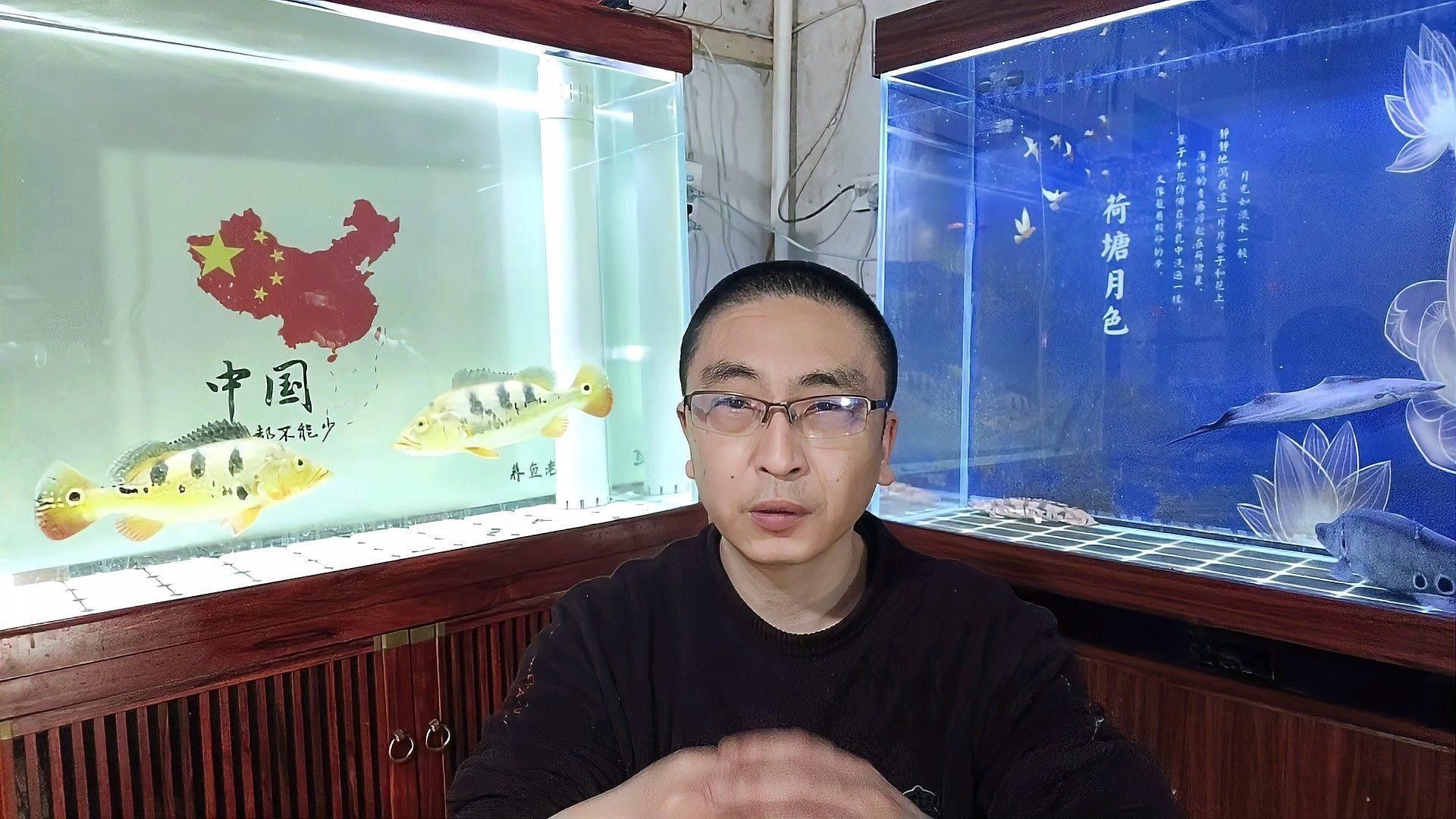 哪種恐龍魚最容易繁殖（哪種恐龍魚最容易繁殖，六角恐龍魚的繁殖策略與注意事項(xiàng)）